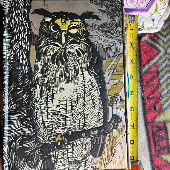 Other - Grimm winking owl journal new notebook lined paper hard cover